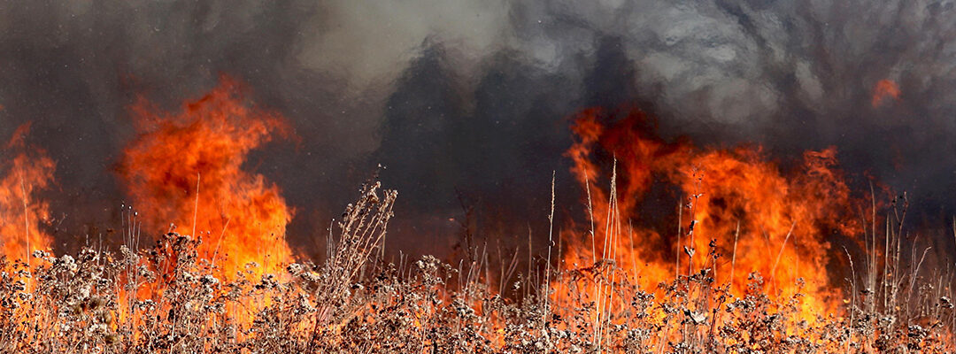 Opération incendie des Corbières dans l&rsquo;Aude